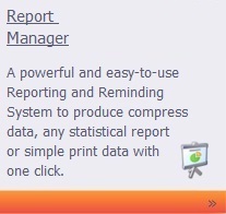 Report Manager